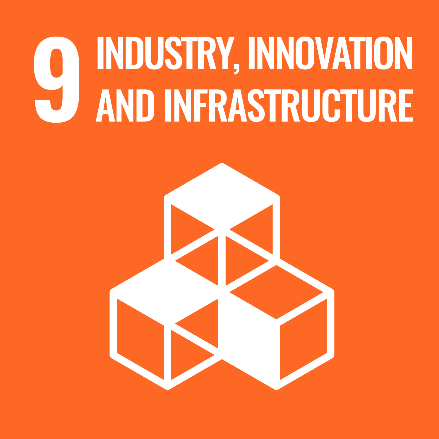 SDG 1 - No Poverty