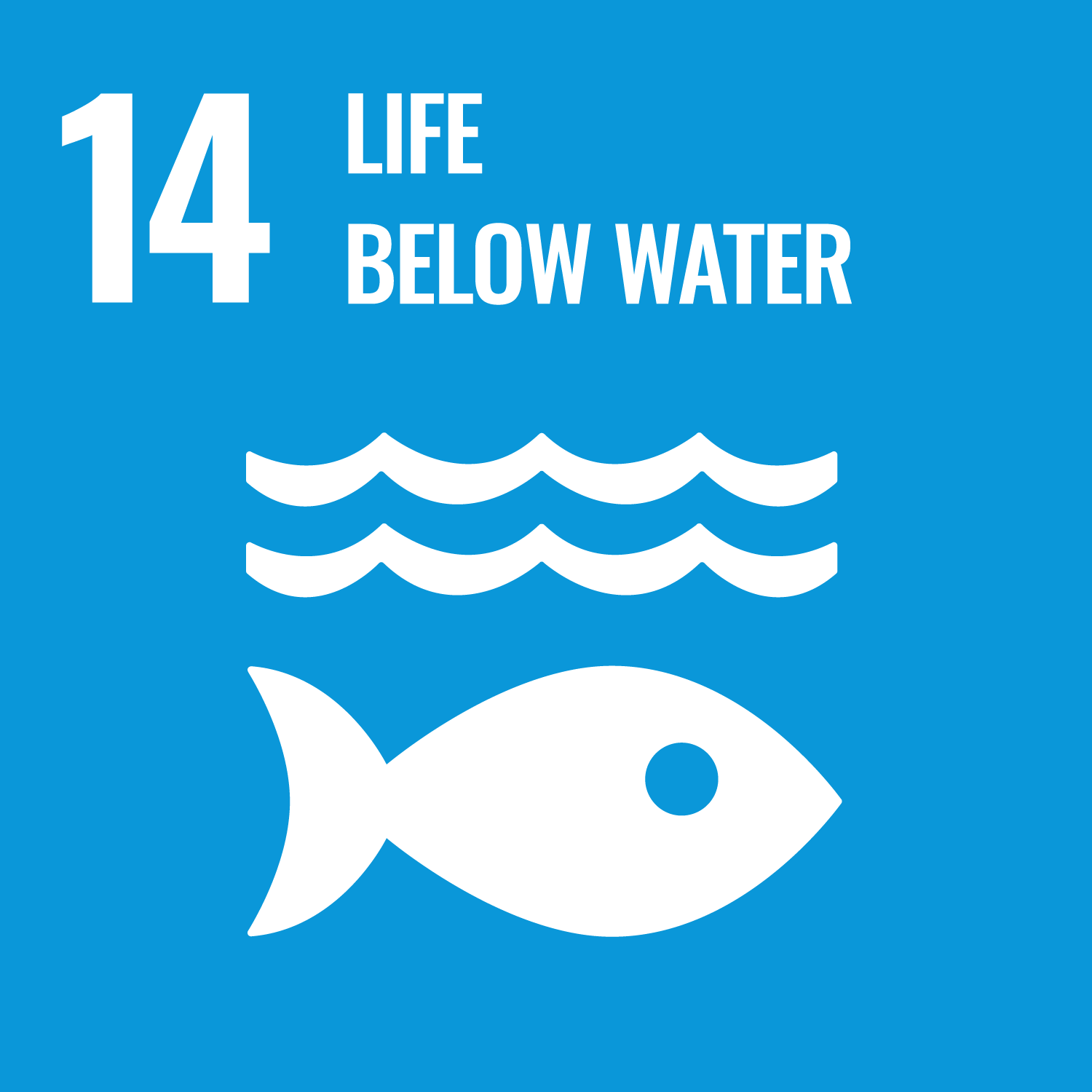 SDG 1 - No Poverty