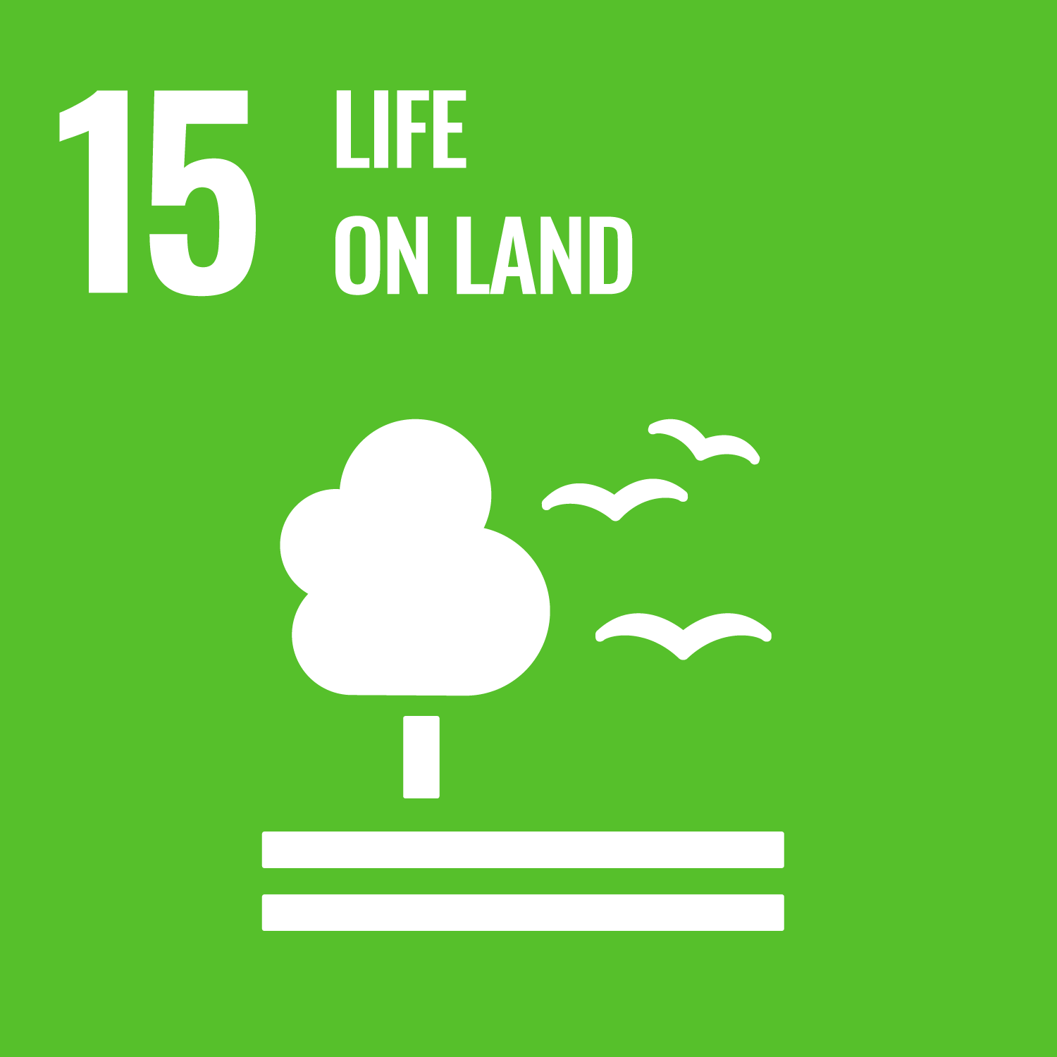 SDG 1 - No Poverty